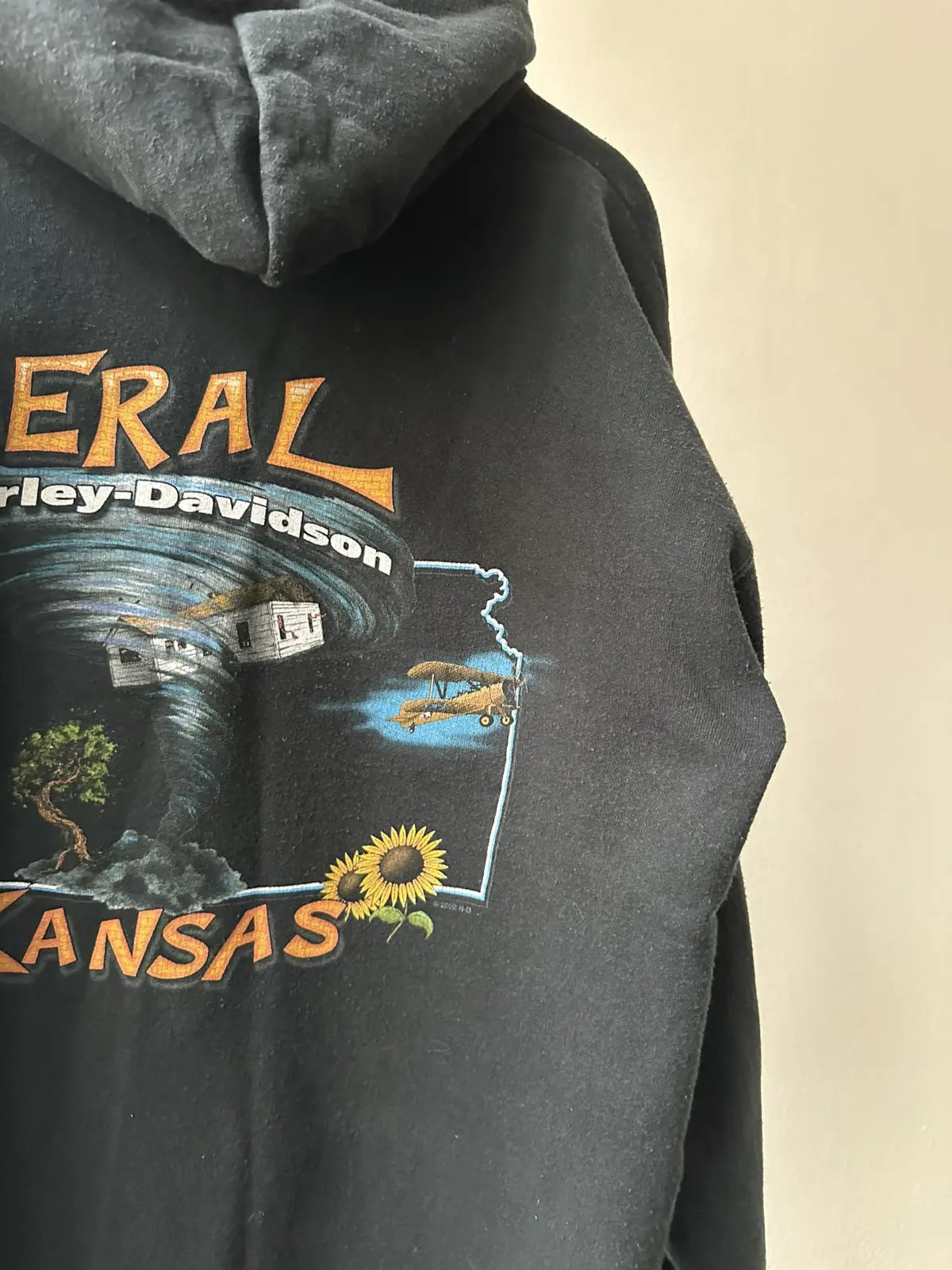 Vintage 2002 Harley Davidson Flames “Liberal Kansas” Zip Hoodie - size M