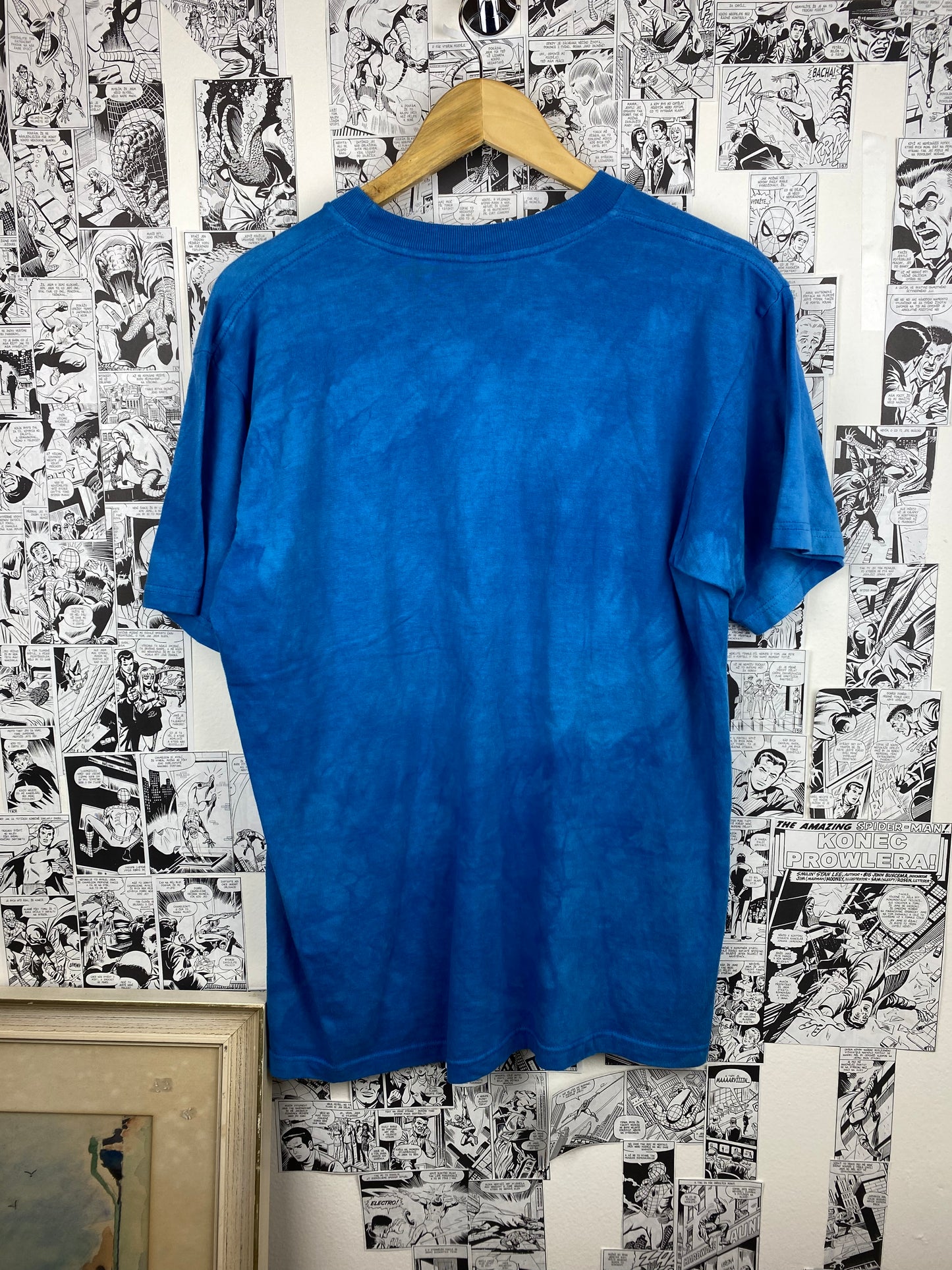 Vintage Dolphin 90s t-shirt - size M
