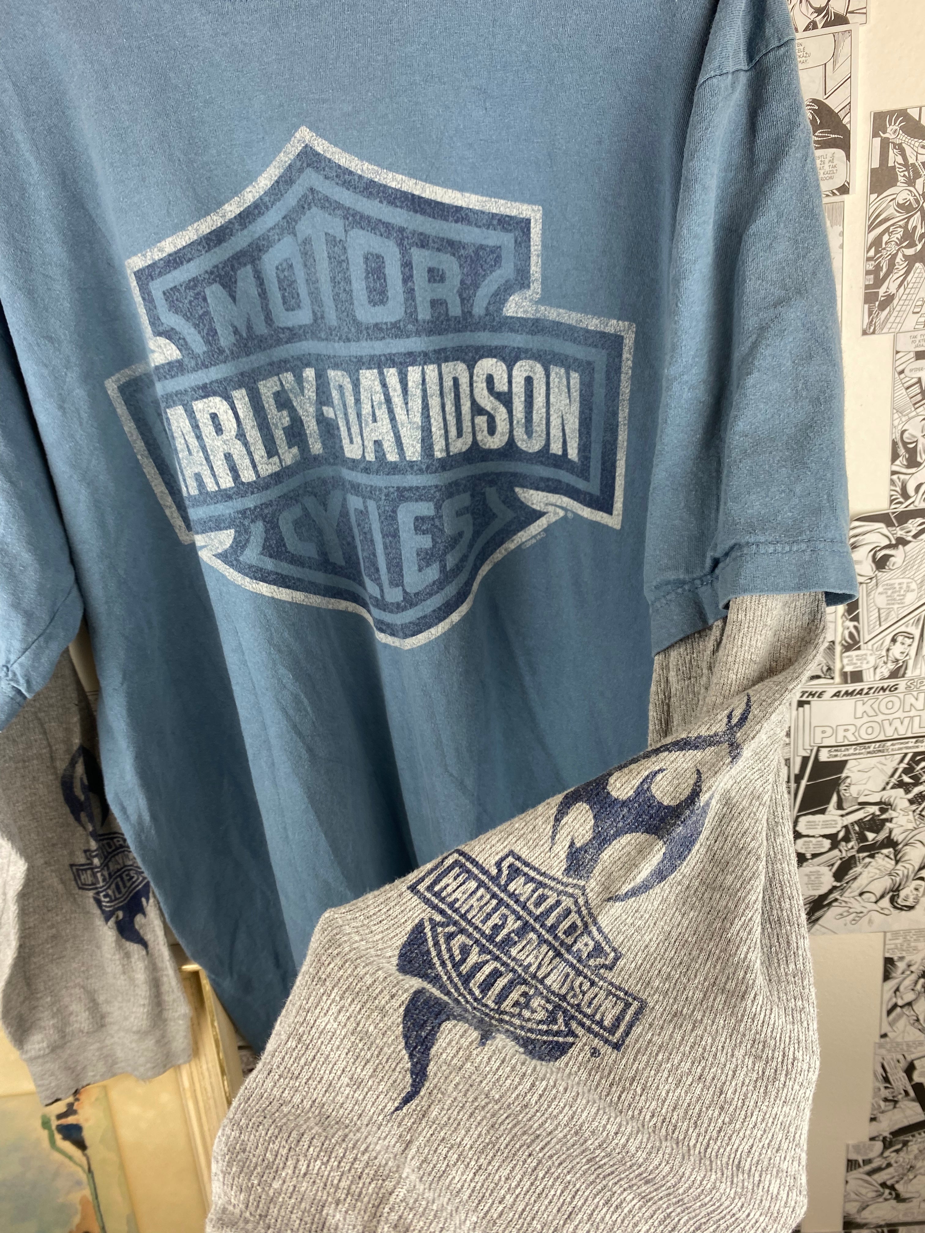 Vintage Harley Davidson “Indiana” long sleeve t-shirt