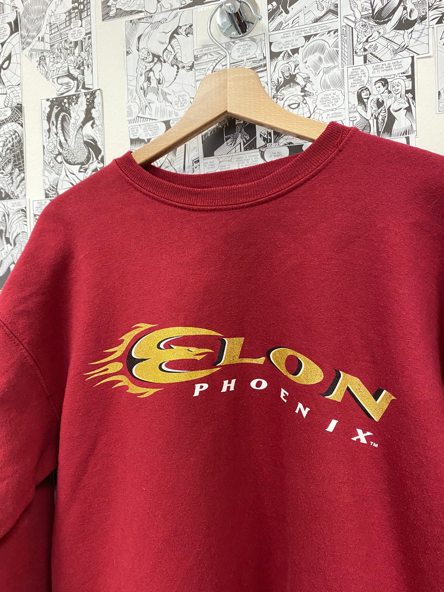 Vintage Elon Phoenix 90s crewneck - size M