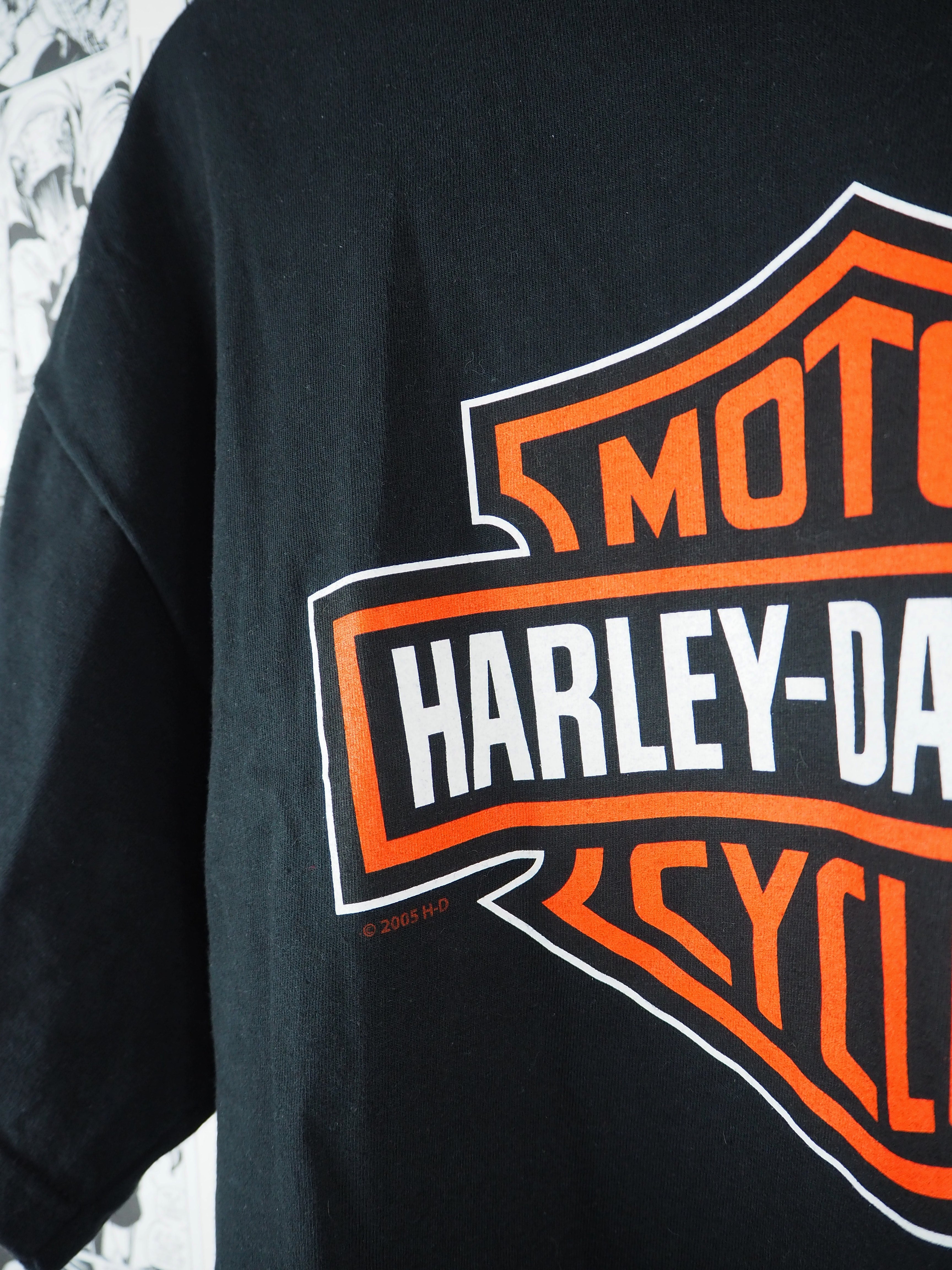 Vintage Harley Davidson "Norway" 2005